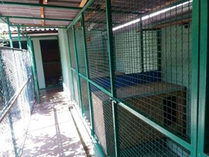 mx pansioni za pse batajnica besplatni mali oglasi