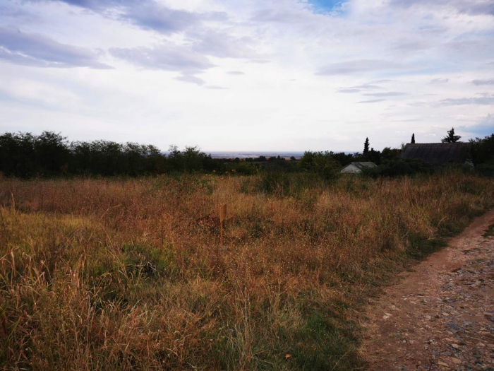 vrdnik plac 10ari besplatni mali oglasi