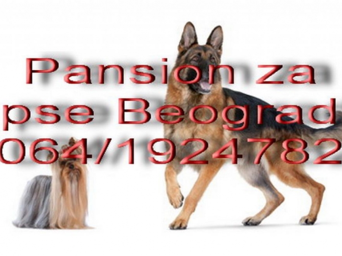 čuvanje pasa beograd besplatni mali oglasi