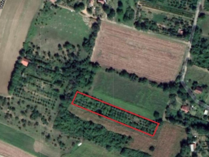 dve parcele petrovaradin (zanoš) besplatni mali oglasi