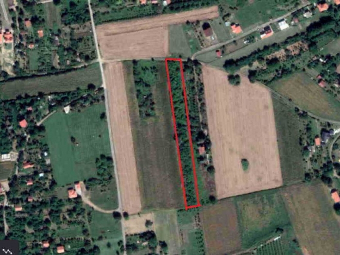 prodaja plac petrovaradin besplatni mali oglasi