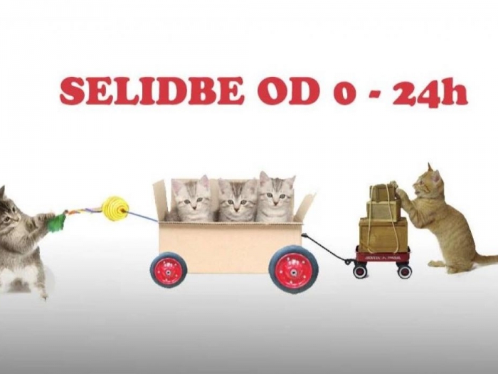 selidbe beograd agencija za selidbe u beogradu besplatni mali oglasi