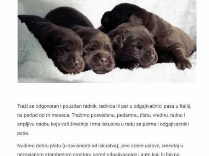 potreban radnik u odgajivačnici pasa u italiji besplatni mali oglasi