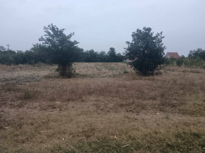 plac na prodaju bočar, 1666 m besplatni mali oglasi