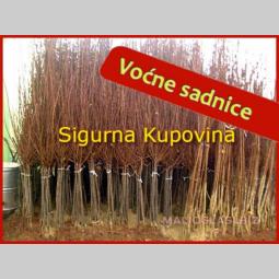 sigurno kvalitetne voćne sadnice besplatni mali oglasi