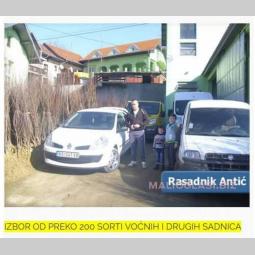 voćne sadnice super cena 30 posto popust besplatni mali oglasi