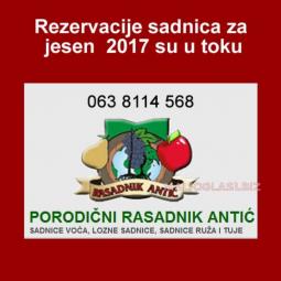 odlična predprodaja sadnica voća super cena besplatni mali oglasi
