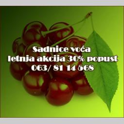voćne sadnice letnja akcija cena 30 popusta  besplatni mali oglasi