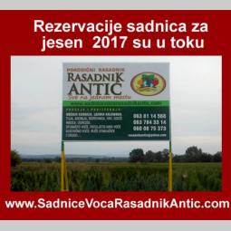 ugovorene sadnice voća 30 popusta besplatni mali oglasi