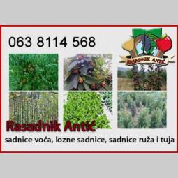 sadnice voća besplatni mali oglasi