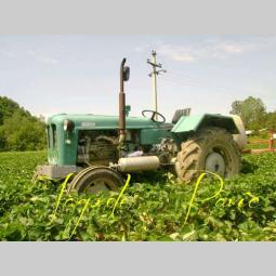 prodajem traktor rakovicu 60 besplatni mali oglasi