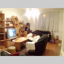 bele vode, 2 5, 65m2, 1 2, sa garažom i dvorištem besplatni mali oglasi