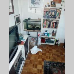 bežanijska kosa i, danila lekića, 2 5, 75m2, duplex, 3 3,cg besplatni mali oglasi