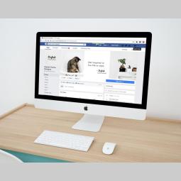 orhideje agencija za online marketing besplatni mali oglasi