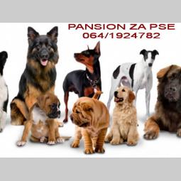 pansion za pse beograd besplatni mali oglasi