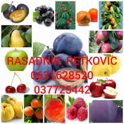 rasadnik petković sadnice voća besplatni mali oglasi