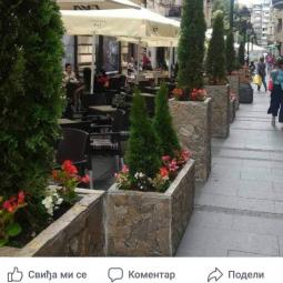 žardinjere na prodaju besplatni mali oglasi