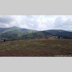 zlatibor gajevi, plac besplatni mali oglasi