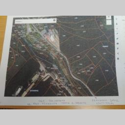 zemljište sa mladom šumom prodaja (kragujevac) besplatni mali oglasi