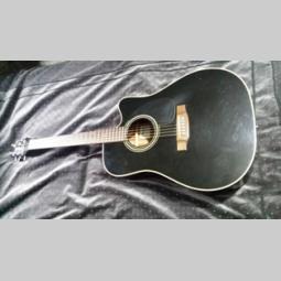 akustična gitara takamine besplatni mali oglasi