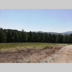 zlatibor plac naselje zova, površina 13 ari besplatni mali oglasi