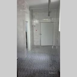 poslovni prostor beograd palilula besplatni mali oglasi