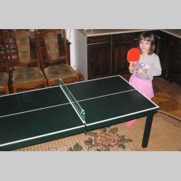 radim po porudžbini dečije stolove za stoni tenis besplatni mali oglasi