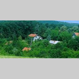 plac 20 ari lipovička šuma i kuća 80m2 besplatni mali oglasi