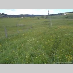 zlatibor plac na prodaju hitno besplatni mali oglasi