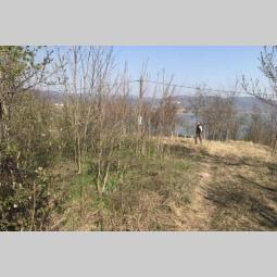 plac na samoj obali dinava vinci golubac 13 ari besplatni mali oglasi