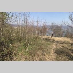 plac na obali dunava vinči golubac besplatni mali oglasi