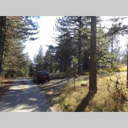 prodaje se plac u mušvetama, zlatibor, čajetina besplatni mali oglasi