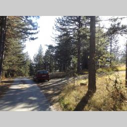 prodaje se plac u musvetama, zlatibor, čajetina besplatni mali oglasi