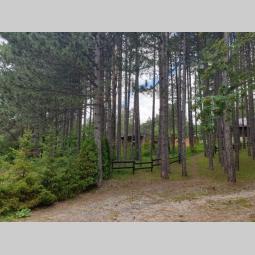 zlatibor karaula najbolji plac besplatni mali oglasi
