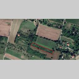 dve parcele petrovaradin (zanoš) besplatni mali oglasi