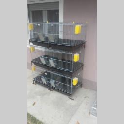 kavezi za pilice i zeceve novi sad besplatni mali oglasi