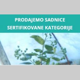 rasadnik milutovac besplatni mali oglasi