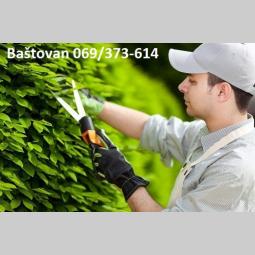 posao baštovan orezujem žive ograde i ukrasno bilje besplatni mali oglasi