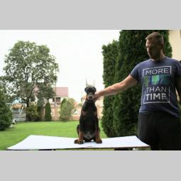 doberman štenci besplatni mali oglasi