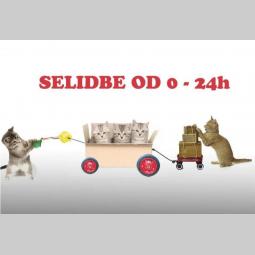 selidbe beograd agencija za selidbe u beogradu besplatni mali oglasi