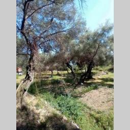 herceg novi građevinski placevi na 1 7 km od centra besplatni mali oglasi
