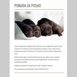 potreban radnik u odgajivačnici pasa u italiji besplatni mali oglasi