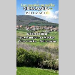 crna mačka beli mačor, luksuzni pansion besplatni mali oglasi