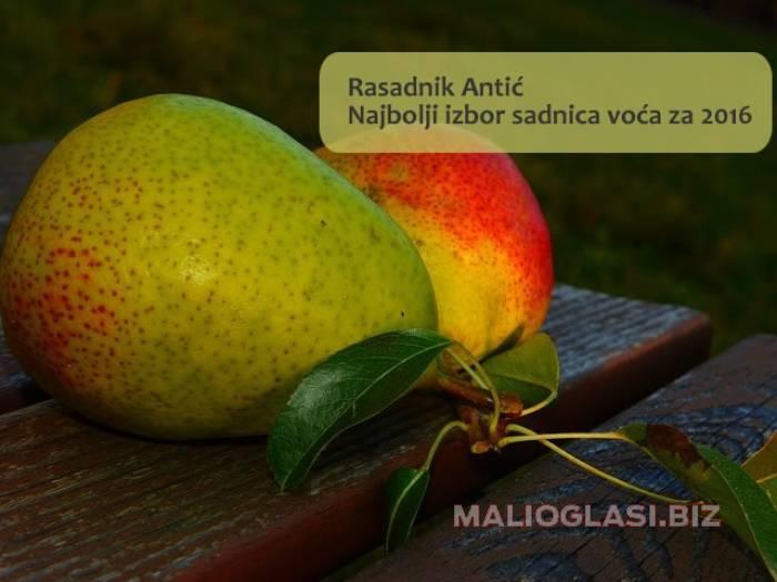 sadnice direktno od proizvođača po hit ceni besplatni mali oglasi