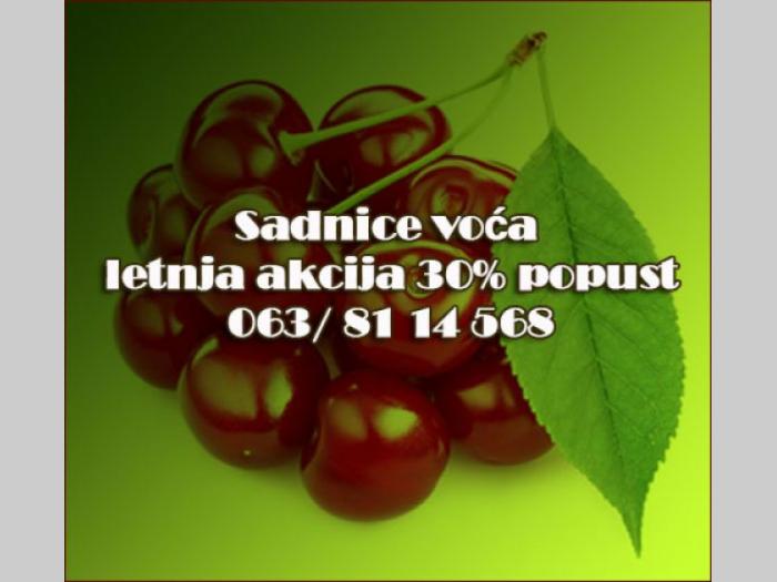 voćne sadnice letnja akcija cena 30 popusta  besplatni mali oglasi