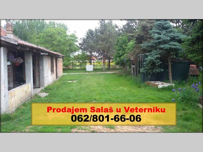 prodajem salaš u veterniku besplatni mali oglasi