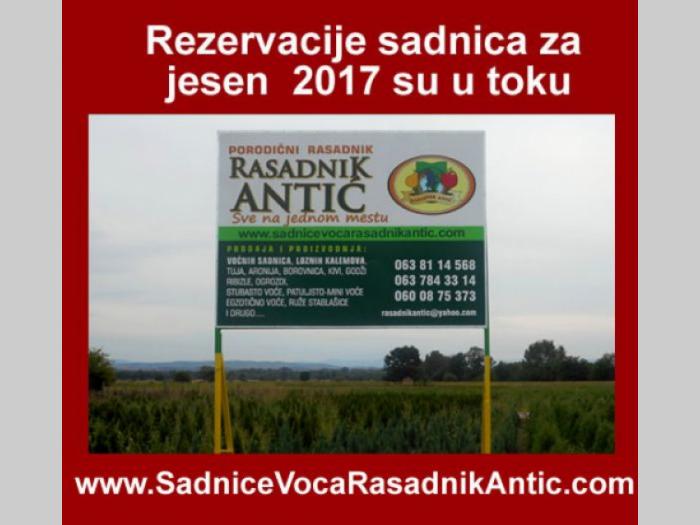 ugovorene sadnice voća 30 popusta besplatni mali oglasi