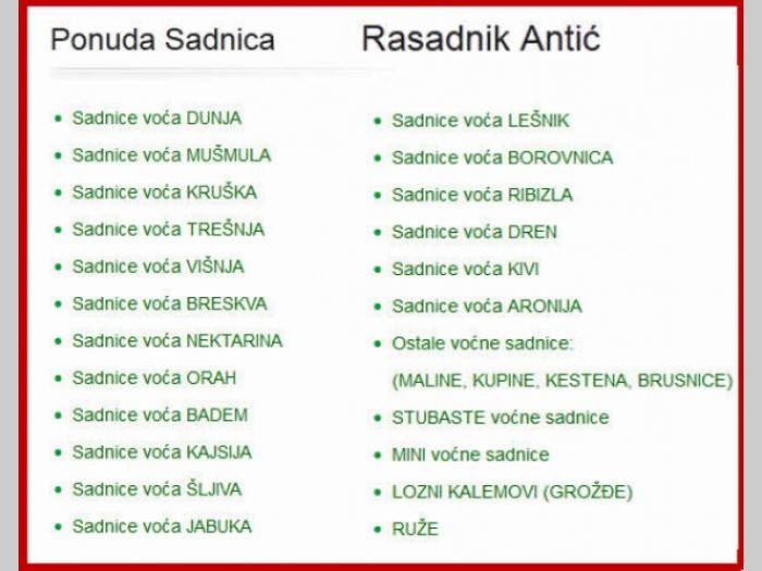 sadnice voća hit jesenja cena za 2017 godinu besplatni mali oglasi