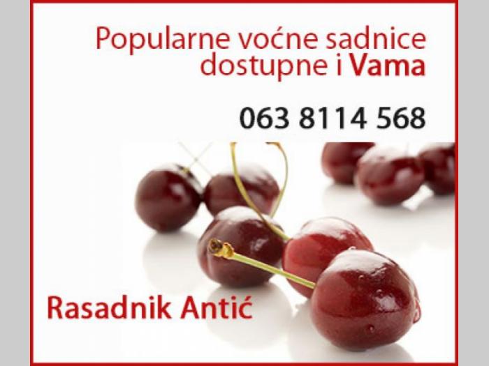 najkvalitetnije voćne sadnice besplatni mali oglasi