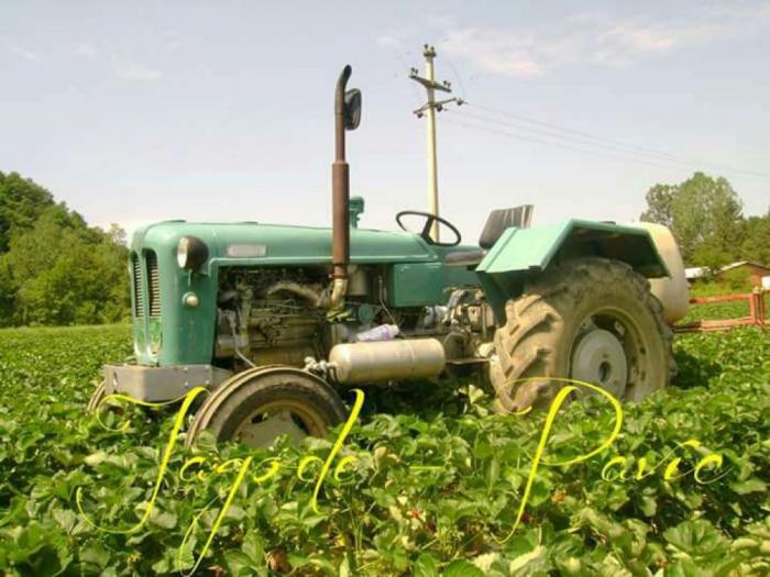 prodajem traktor rakovicu 60 besplatni mali oglasi
